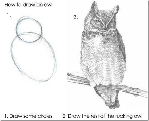 owl