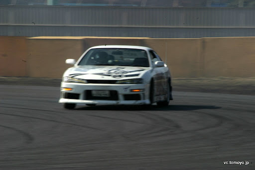 IMG_4991.JPG