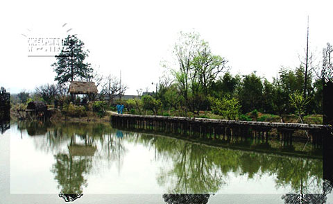 Xixi National Wetland Park, Hangzhou, Zhejiang, China Xixi National Wetland Park, Hangzhou, Zhejiang, China