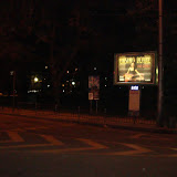 DSC09537.JPG