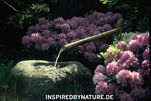 japanischer garten