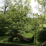 IMG_8241.JPG