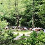 IMG_8267.JPG