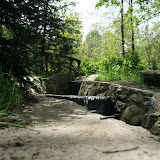 IMG_8269.JPG