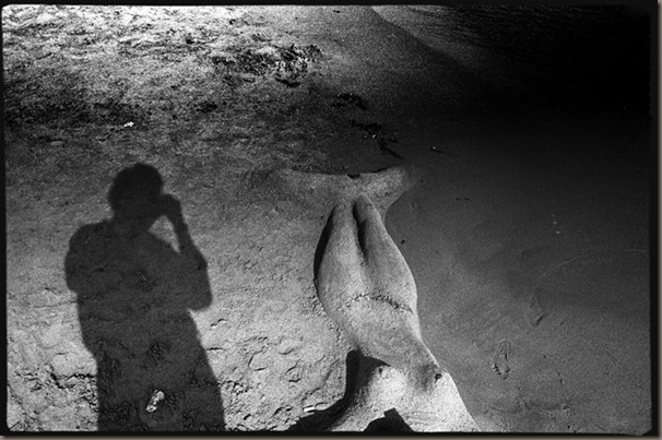 autorretrato autorretrato
