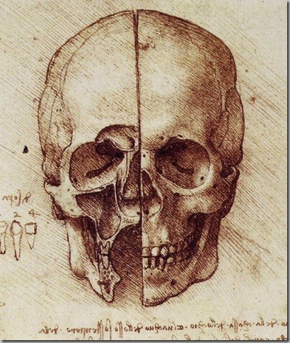 Leonardo Da Vinci Dibujos (4)