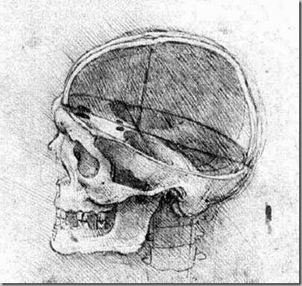 Leonardo Da Vinci Dibujos (3)
