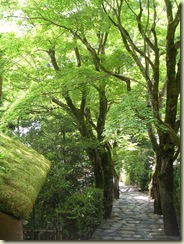 DSCN8957