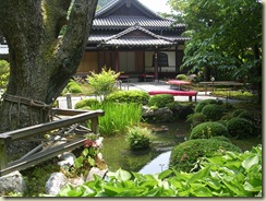 DSCN8973