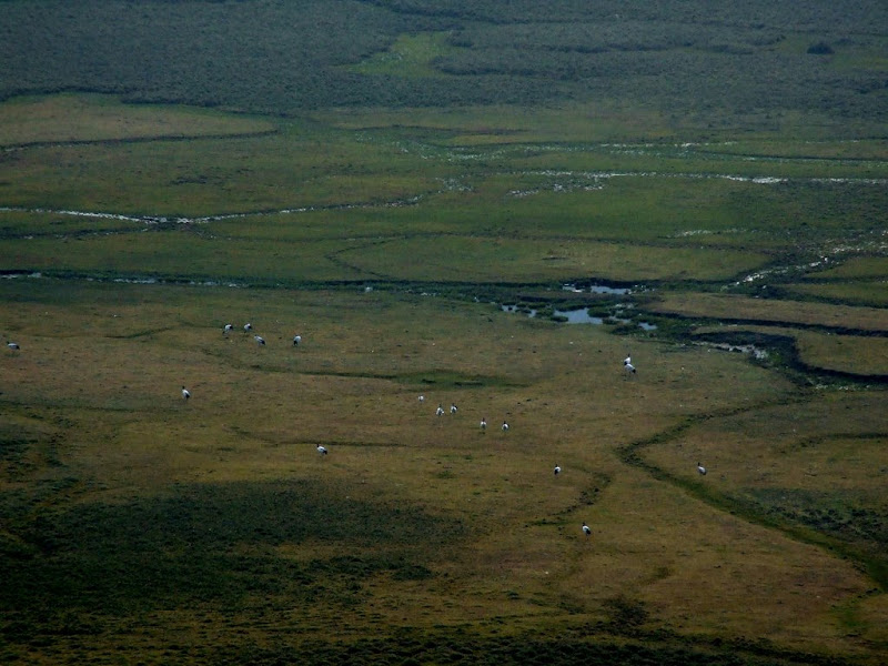 9 дней в Королевстве Громового Дракона, ноябрь 2009 (фото)