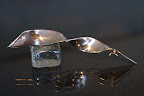 Okt 31 2010 Louise of Sweden silversmycken 035.JPG