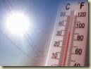 calor 1 calor 1