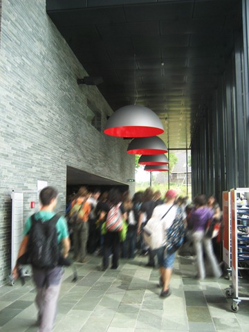 IMG_0796 IMG_0796