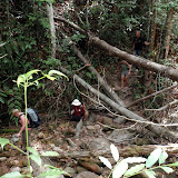 P1120541.JPG