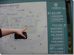 DSC03136