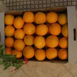 naranjas9.jpg