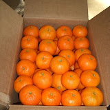 cimg0437.jpg