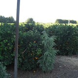 cimg0468.jpg