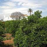 cimg0238.jpg
