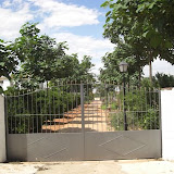 cimg0240.jpg