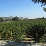 cimg0016.jpg