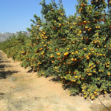 cimg0033.jpg