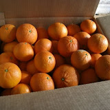 cimg0056.jpg