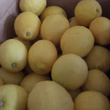 cimg0065.jpg