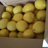 cimg0067.jpg