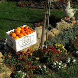 cimg0104.jpg