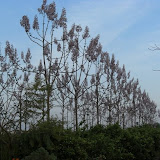 cimg0202.jpg