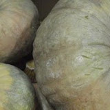 calabazas-comer.jpg