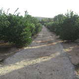 cimg0720.jpg