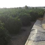 cimg0726.jpg