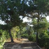 cimg0728.jpg