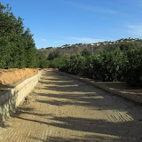 cimg0738.jpg