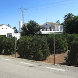 cimg0742.jpg