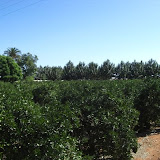 cimg0747.jpg