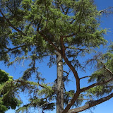 cimg0781.jpg