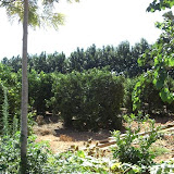 cimg0787.jpg