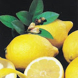 limones3.jpg