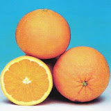 naranjas12.jpg