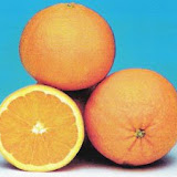 naranjas4.jpg