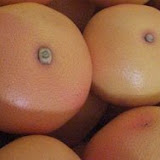 pomelos10kg.jpg