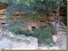 2010-09-24 - AZ, Montezuma's Well - 1020 2010-09-24 - AZ, Montezuma's Well - 1020