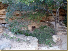 2010-09-24 - AZ, Montezuma's Well -  1020