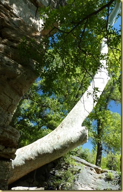 2010-09-24 - AZ, Montezuma's Well -  1035