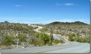 2011-04-21 -3- AZ, Organ Pipe Cactus National Monument (28)