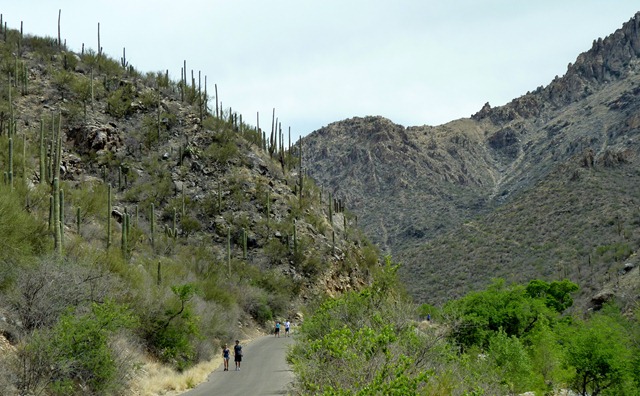 [2011-04-23 - AZ, Tucson, Sabino Canyon National Recreation Area with Emily (38)[4].jpg]