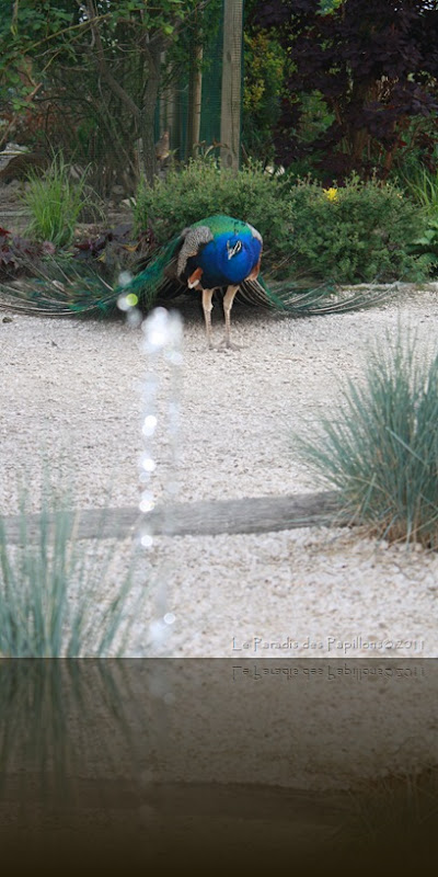 IMG_4332 IMG_4332